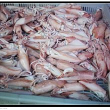 【澎湖在地味】永翔花枝蝦卷(阿忠花枝蝦卷)-8入 歷史價格詳細信息