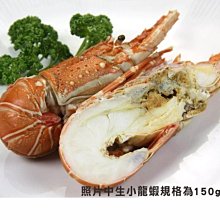 極品小道光，道光通寶寶源局雙點方頭通，頂級品相，母錢的狀態，31840 歷史價格詳細信息