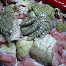 鱷魚腿部切塊,帶皮,帶骨(一台斤裝) :550元,另有售:鱷魚肉、鹿肉、鱷魚肉燒烤 、鱷魚肉宅配 (恩愷食品) 歷史價格詳細信息