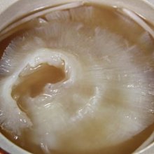 餐桌上的養生經最適合中國人的滋補祛病食療方大全集 2013-9 山西科學技術 歷史價格詳細信息