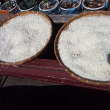 楊媽媽の手工店 虱目魚魚鱗六包可以超商取貨 歷史價格詳細信息