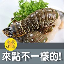 【中秋烤肉系列】鮑魚清肉(6顆)/約200g~已去殼去內臟只留清肉最精華部份，肉質柔嫩細滑，口感鮮甜可口 歷史價格詳細信息