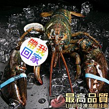 UHP 465/370W 1.2 E21.9投影機儀燈泡003-005237-01/113-526A 歷史價格詳細信息