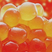 【生食生魚片系】尼信生魚片(授權製造)(分享包)/ 約165g/條~又稱水針.壽司鯡魚.壽司鰊魚卵.黃金鯡魚(黃金魚卵) 歷史價格詳細信息