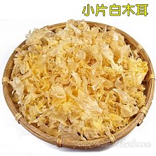 小蓮與柳樹少年   【金石堂】 歷史價格詳細信息