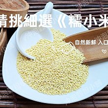 【沖泡穀粉小舖】大麥決明子茶 (50g大包裝)即沖即飲~接單後現包 100%純天然 無糖~麥香決明子茶 決明子麥茶 歷史價格詳細信息