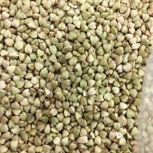 黃金蕎麥茶8g x 50入 歷史價格詳細信息