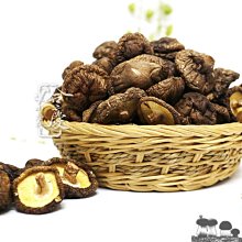 【～燉補炊煮～小容量↘↘＄１３００】《B2C家電館》【尚朋堂～３人份養生不鏽鋼電鍋】SSC-03KD 歷史價格詳細信息