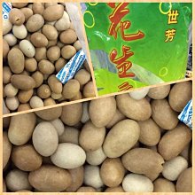 鳥蛋香香豆350g[TW00077]健康本味 歷史價格詳細信息