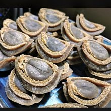 【日本鹿牌】18-8不鏽鋼咖啡壺3杯 M-1225 900ml 過濾壺 燒水壺 茶壺 野炊 露營 悠遊戶外 歷史價格詳細信息