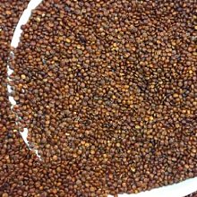 紅藜麥堅果沙琪瑪360G【愛買】 歷史價格詳細信息