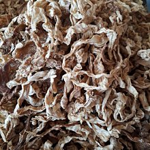 140元直購[全新]聖銀幻想曲 1 首刷書  天罪 夜風 歷史價格詳細信息