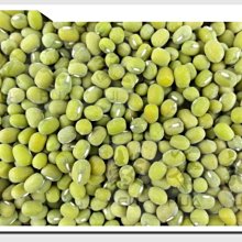 毛綠豆 600g  【大潤發】 歷史價格詳細信息