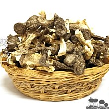 菇類智慧化生產與農場經營管理研討會專刊(農業試驗所特刊第216號) 歷史價格詳細信息