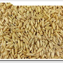 Oat+ 咔啦穀燕麥脆片-蘋果肉桂-250g 歷史價格詳細信息