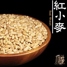 【受益米舖】香糯米 (脫氧包裝) 每包一斤 老鼠牙 糯米 麻糬 舊米 濁水米 粽子 油飯 米糕 紫米糕 GR720022 歷史價格詳細信息