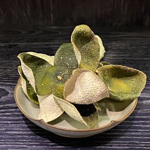 老樹枝北歐設計師款過道客廳臥室床頭玻璃背景牆裝飾黃銅藝術壁燈 歷史價格詳細信息