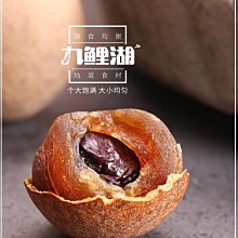 ~桂圓黑糖~鐵比倫花園純手工製作，埔里十大伴手禮，絕不添加防腐劑、焦糖色素【珍豐產】 歷史價格詳細信息