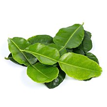 ❤️「鮮茶道-寶可夢聯名商品」正版-寶可夢 皮卡丘飲料提袋 一杯環保飲料提袋❤️全新現貨!!! 歷史價格詳細信息