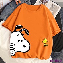 KITI精品上衣女生韓版 春秋季 荷葉邊上衣長袖 荷葉邊上衣t恤 韓版大尺碼韓國法式方領褶皺荷葉邊薄款長袖雪紡衫秋季上衣女超仙 歷史價格詳細信息