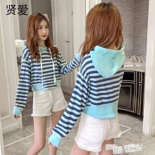 【熱賣精選】條紋印花挎包小貓咪衣服防掉毛寵物布偶英短藍貓加菲幼貓衛衣秋款 歷史價格詳細信息