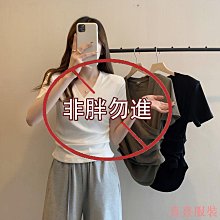 小美の店新款上衣 V領T恤 寬鬆T恤 夏季新款大尺碼女裝小心機V領短袖T恤胖MM寬鬆遮肚百搭上衣 歷史價格詳細信息