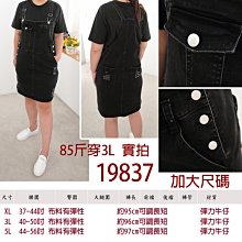 衣喆服飾批發【00206】中大尺碼 網紗性感內褲 歷史價格詳細信息