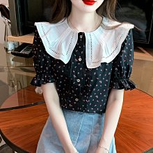 【歡迎光臨】實拍黑色打底衫女內搭新款大領口洋氣長袖t恤早秋緊身v領上衣 歷史價格詳細信息