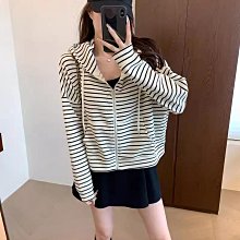 微軟經典閃靈鯊 歷史價格詳細信息