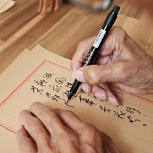 秀麗筆 紫云莊王者練字書法鋼筆美工筆成人小學生專用硬筆有筆鋒專1 歷史價格詳細信息