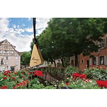 日本CARMATE 吊掛型垃圾桶 收納置物袋 DZ494 歷史價格詳細信息