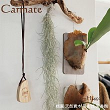 毛毛家 ~ 日本精品 CARMATE NZ443 車內後視鏡背面黏貼式光觸媒消臭劑的補充裝 (NZ442專用的補充片組) 歷史價格詳細信息