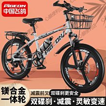 【815兒童潛能開發中心】奇點唱遊小精靈班１(miki ‘s LUCKY 原創兒歌音樂專輯 & 5堂音樂課線上課) 歷史價格詳細信息