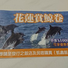 【花蓮】鯨世界-賞鯨豚生態之旅成人雙人券 歷史價格詳細信息