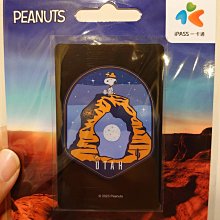 SNOOPY 涼感無縫抗曬袖套 兒童/成人/開指 防曬袖套 質感袖套 防曬用品 歷史價格詳細信息