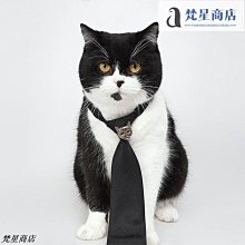 【熱賣精選】【原創定製】韓國網紅復古冬季保暖棉衣可拆卸袖子麵包服羽絨棉服女加厚短外套 歷史價格詳細信息