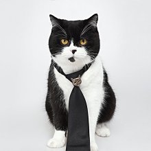 REBIRTH野生設定雙肩毛毛兔子包辣妹撞色通勤牛仔實用大容量書包 歷史價格詳細信息