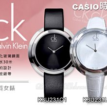 CASIO 時計屋_瑞士CK手錶_Calvin Klein_K2246120_K2246107_大錶徑簡約中性錶_全新有保固_附發票~ 歷史價格詳細信息
