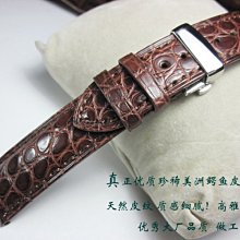 短吻鱷 獅子 企鵝 可愛兒童動物造型充氣游泳圈 泳池浴缸玩水學游泳 橘魔法 現貨在台灣【p0061165676350】 歷史價格詳細信息