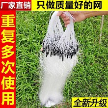 粘捕式滅蠅器嬰兒房可用靜音室內滅蠅燈一掃光捕蠅滅蠅器 歷史價格詳細信息