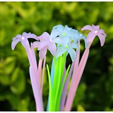 小趣味創意館♥翹鬍子VS嘴唇-婚禮刮刮樂/刮刮卡/婚禮小物/二次進場~ 歷史價格詳細信息