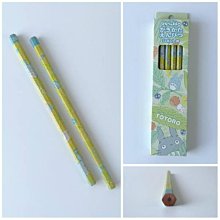 【Totoro】日本製 宮崎駿 吉卜力龍貓 彈蓋直飲水壺 隨身瓶 抗菌加工 480ML(附背帶) 歷史價格詳細信息