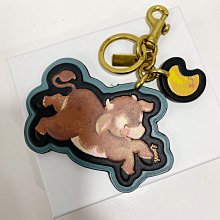 現貨熱銷-COACH 14503244 14503245 14503270 14503271 真皮錶帶手錶 女錶 歷史價格詳細信息