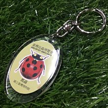 [臺灣新品）昆蟲標本展示盒 實木立體蝴蝶標本相框 永生花昆蟲標本盒 手工藝品展 歷史價格詳細信息