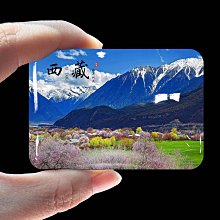 布達拉宮小葉紫檀手串滿金星轉運珠佛瑪瑙南紅文玩木質男女款手鏈 歷史價格詳細信息