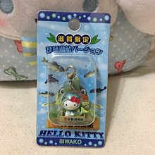 日本 三麗鷗 sanrio kitty - Keroppi 大眼蛙. 皮皮蛙 鎖圈/吊飾 (1994年/早期/絕版) 歷史價格詳細信息