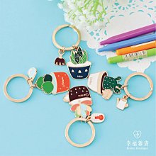 多肉植物。南非龜甲龍3吋盆 實物拍攝可超商郵局取貨 歷史價格詳細信息