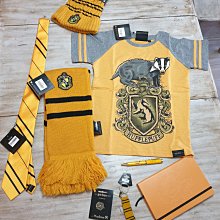 Harry Potter Hogwarts Men's Check Jogger Sweatpants Lounge Elastic Waist Size L 歷史價格詳細信息