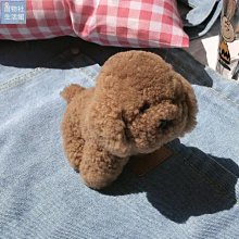 【楚楚鋪】小白狗真羊羔毛泰迪掛件比熊皮草公仔包包掛飾毛絨卡通汽車鑰匙扣 歷史價格詳細信息