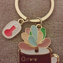 多肉植物。南非龜甲龍3吋盆 實物拍攝可超商郵局取貨 歷史價格詳細信息